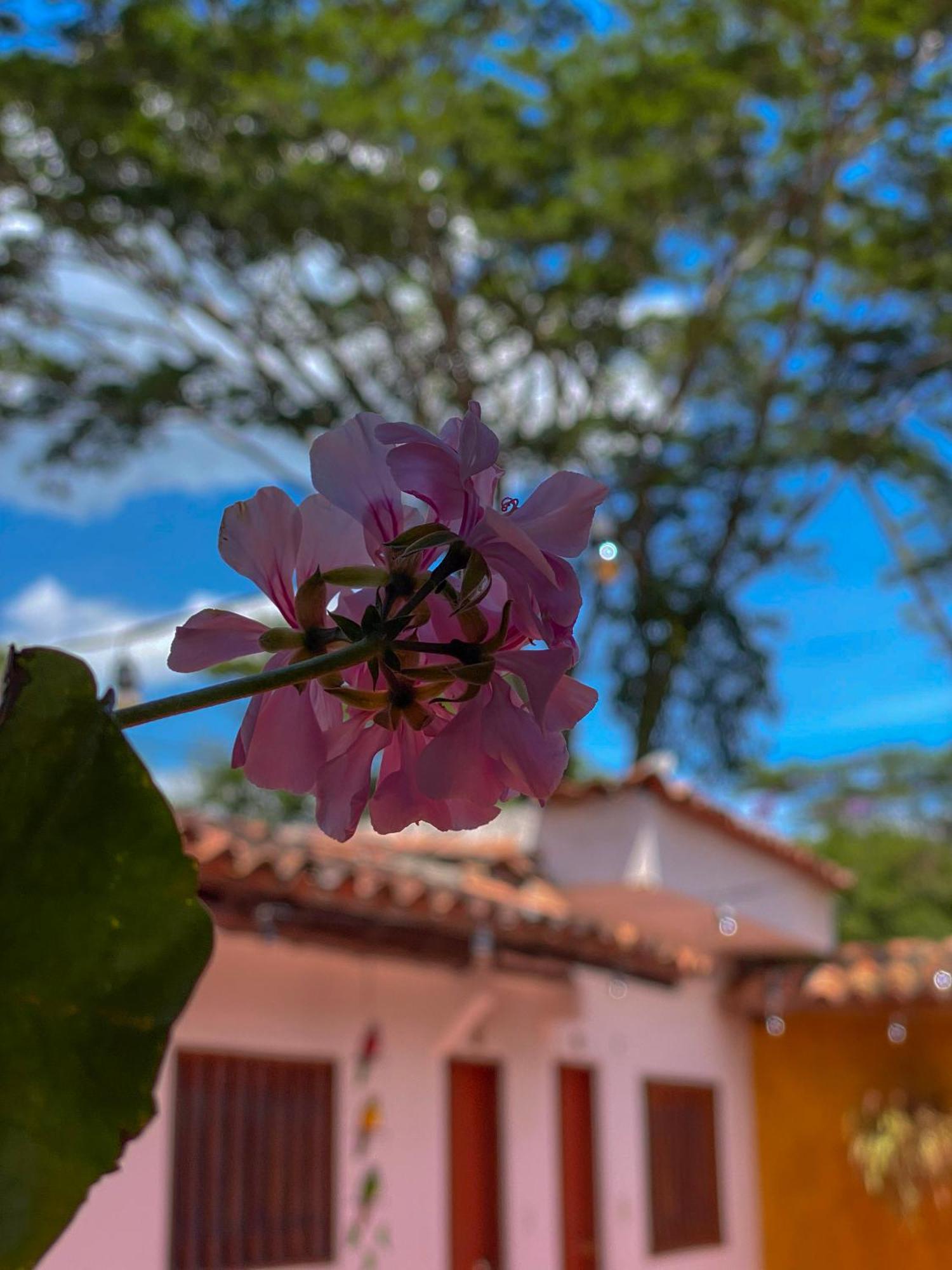 Hotel Campestre La Trinidad سان جيل المظهر الخارجي الصورة